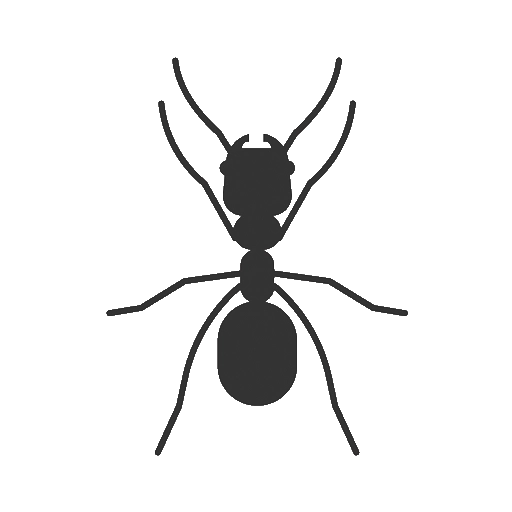 Ant