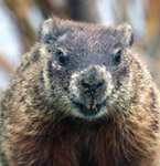 Photo: Jason Maus, Gerry Wegner Ph.D.