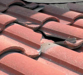 By: Hanif Gulmahamad