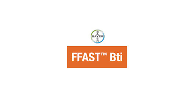 logo: FFAST Bti