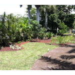 Photo: Project EverGreen