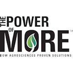 Logo: www.PowerOfMORE.com