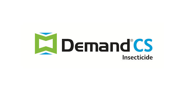 logo: Demand CS