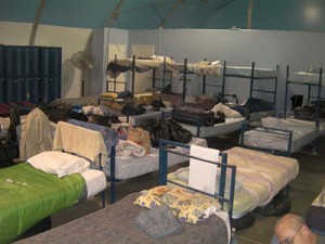 photo: www.pestbarrier.com/bytes.