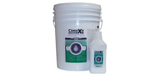 photo: RockwellLabs.com