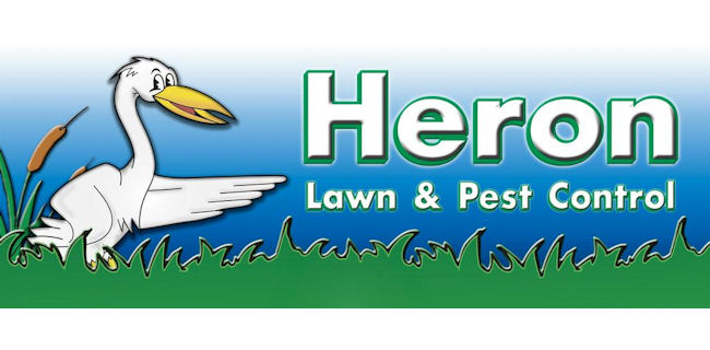 logo: Heron