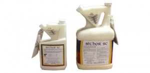 photo: www.ensystex.com/bithor.php