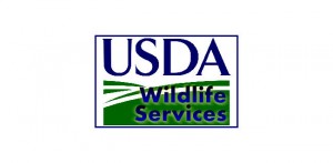 logo: USDA