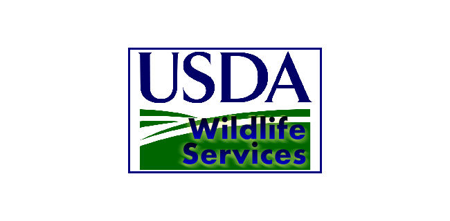 logo: USDA