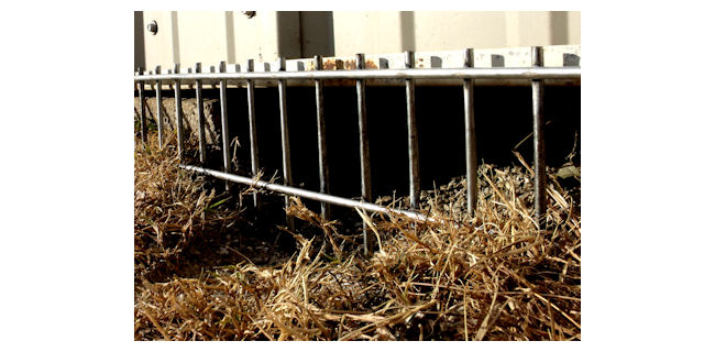 photo: www.wildlifecontrolsupplies.com