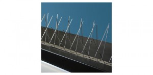 photo: www.birdbarrier.com