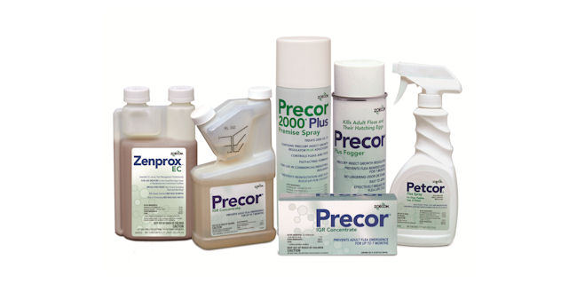 photo: www.zoecon.com