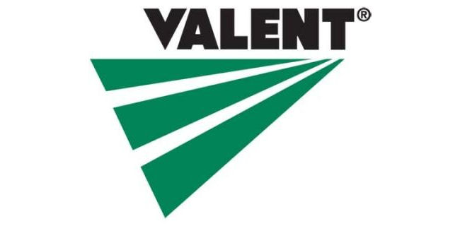 logo: Valent