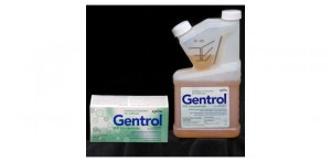 Photo courtesy of Zoëcon Professional Products