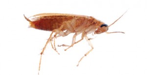 Photo: ©istock.com/defun