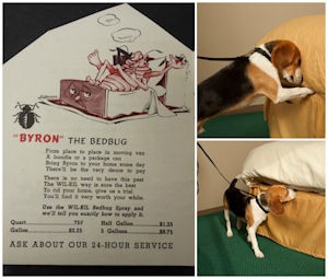 Photo: Wil-Kil Pest Control