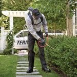 Terminix: Attractive Targeted Sugar Bait