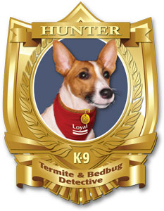 Hunter-Loyal Termite and Pest