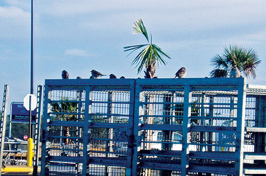 Photo: Jeff McGovern