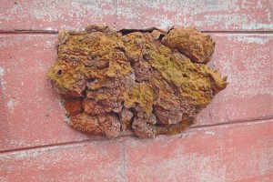 Photo: Jeff McGovern