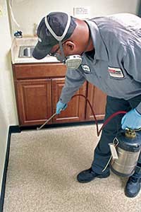 Payne Pest Management
