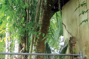 Photo: Jeff McGovern