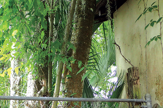 Photo: Jeff McGovern