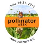 Pollinator Week