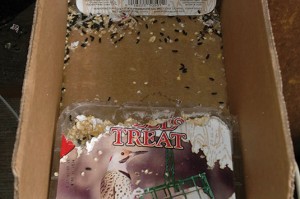 Photo courtesy of, and copyrighted by, Gene White, pmimages@earthlink.net