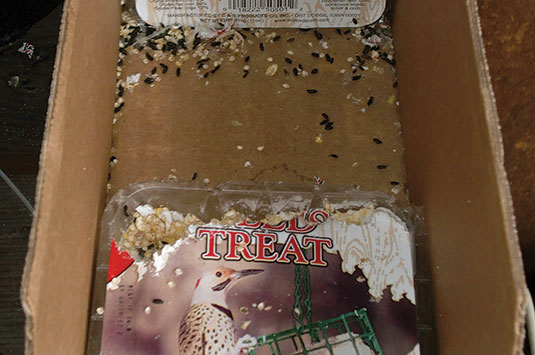 Photo courtesy of, and copyrighted by, Gene White, pmimages@earthlink.net