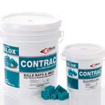 Bell Contrac All-Weather Blox