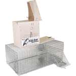Bird Barrier trap