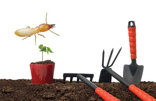 Photos: ©istock.com/smuay/selimaksan