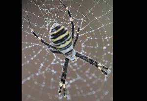 Photo: ©istock.com/kgfot