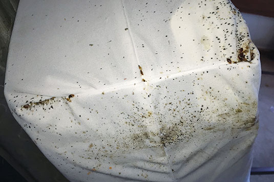 Photos: Clark Pest Remedy