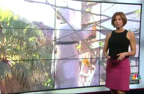 Photo from KPRC Click2Houston broadcast.