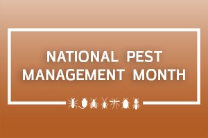Header: National Pest Management Month