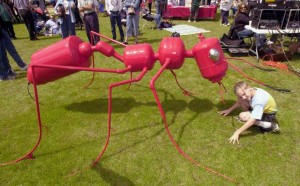 photo: Texas' fireant festival