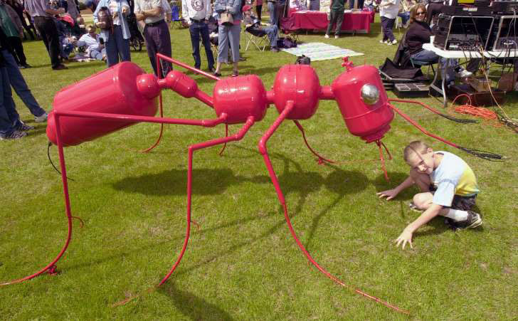 photo: Texas' fireant festival
