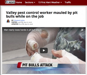 screenshot: 13 action news