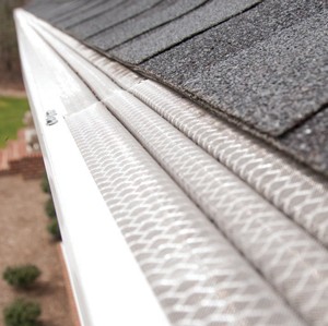 Pest Armor Gutter Protection