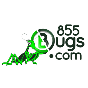 logo: 855bugs.com