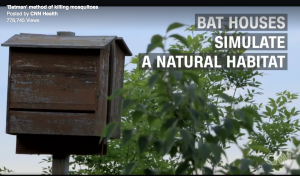 Clip & images via CNN Health