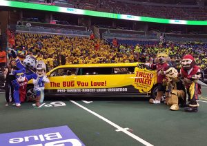 Photo: Truly Nolen Pest Control