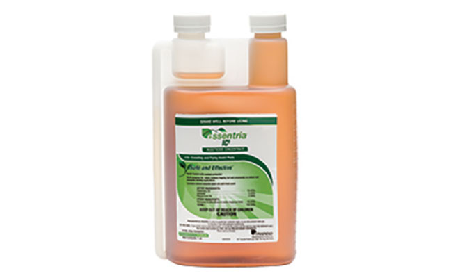 IMAGE: ZOËCON PROFESSIONAL PRODUCTS