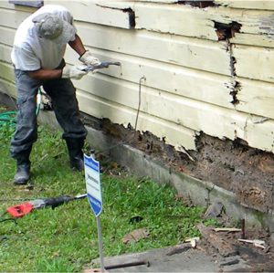 PHOTO COURTESY OF THE RECORD LIVE