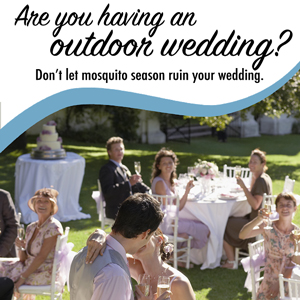 photo: Mosquito Shield