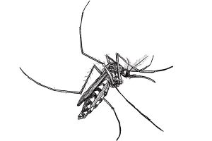 Art: Dreamstime.com/Hadkhanong