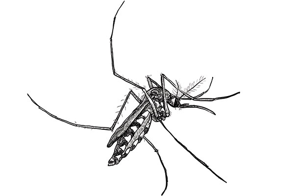 Art: Dreamstime.com/Hadkhanong