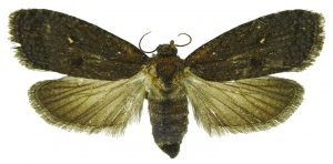 Photo: Todd M. Gilligan and Marc E. Epstein